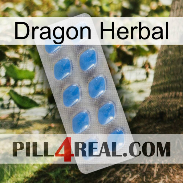 Dragon Herbal 22.jpg